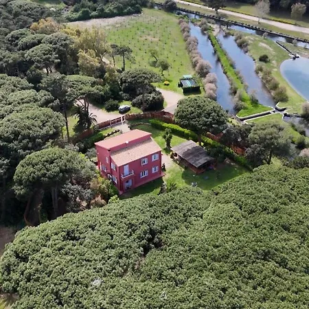 Villa Tenuta Clementino *